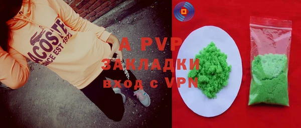 СК Надым