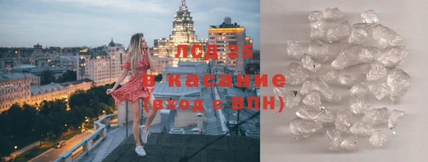 прущие грибы Михайловка