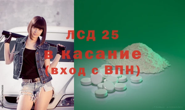 прущие грибы Михайловка