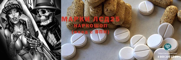 прущие грибы Михайловка