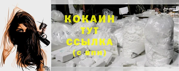 прущие грибы Михайловка