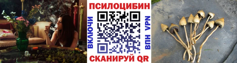 что такое наркотик  Починок  Псилоцибиновые грибы мухоморы 